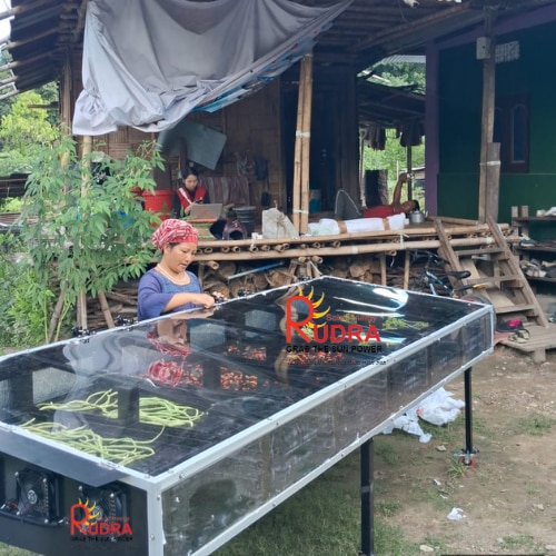 Solar Dryer for Forest Produce | MFP Value-Addition Facility - Minor Forest Produce & Rural Processing Industry