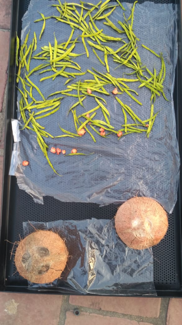 Solar Drying Solution for Food Processing & Agricultural Products in Puducherry — image 3