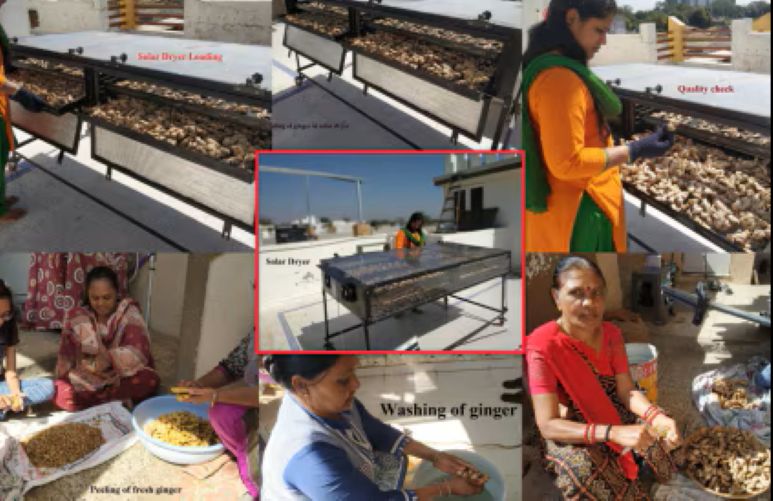 Solar Drying Solutions for Agricultural Processing in Chhattisgarh - undefined