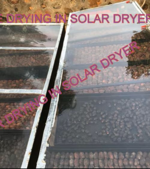 Solar Drying Project in Karnataka for Fruits, Vegetables & Spice Processing — image 2