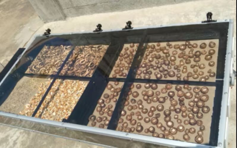 Solar Drying Solutions for Food Processing in Odisha — image 3