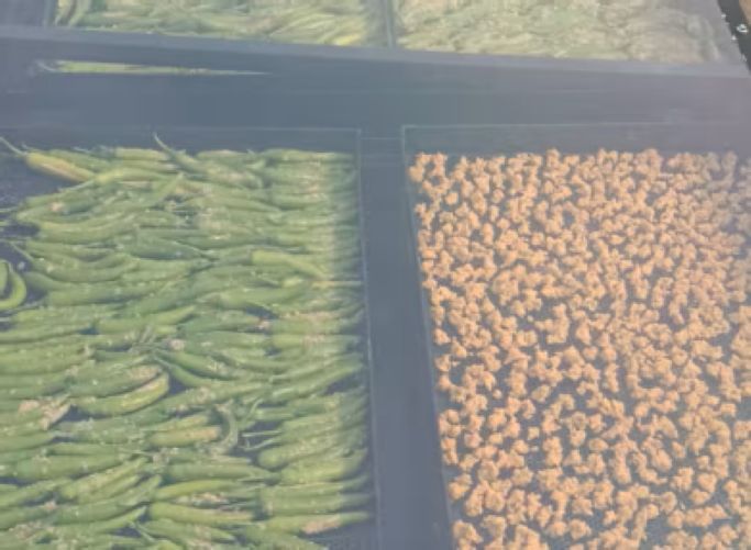 Solar Drying Solution for Agricultural Produce Processing in Jammu & Kashmir — image 3