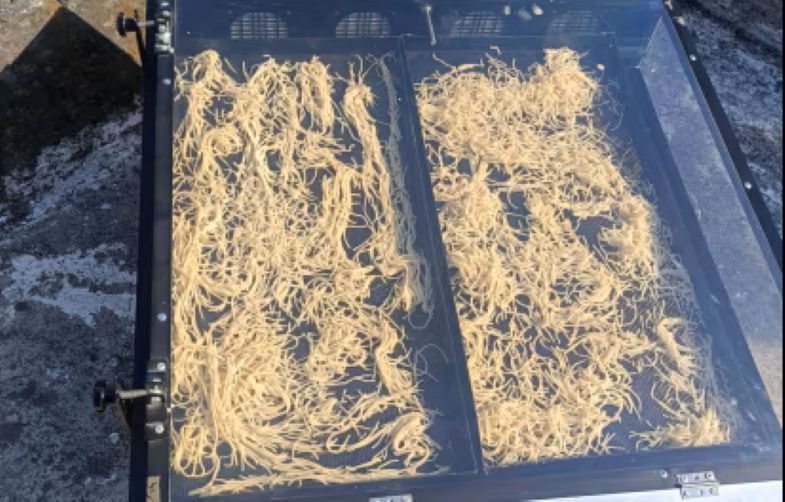 Solar Drying Solutions for Food Processing in Odisha — image 2