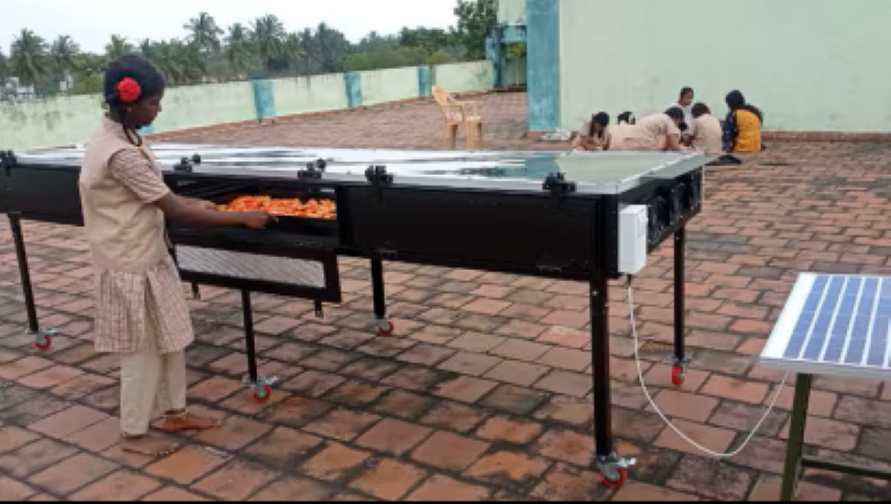 Solar Drying Solutions for Pineapple, Turmeric & Herbal Processing in Meghalaya — main image