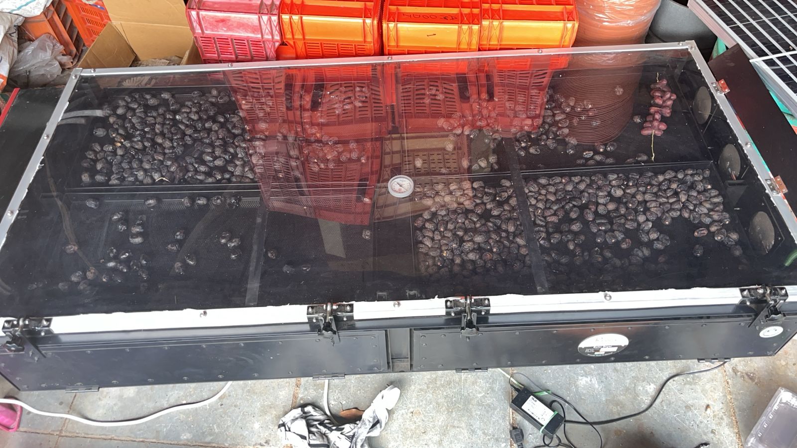 Solar Drying of Horticultural Crops — image 2