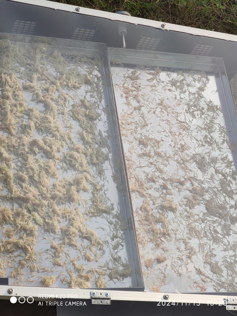 Solar Drying for Agro Processing Industry in Maharashtra — image 2