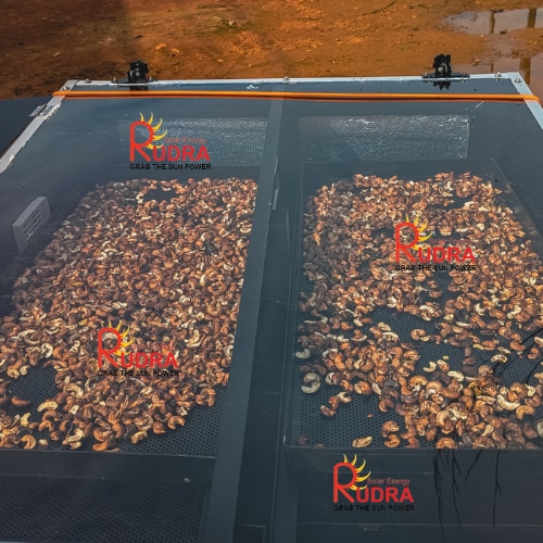 Dry Fruits & Nuts Processing Unit with Rudra Solar Dryer - Dry Fruits & Nuts Processing Industry