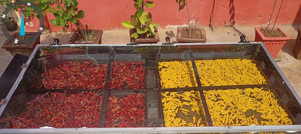 Commercial Solar Chilli and Turmeric Drying System