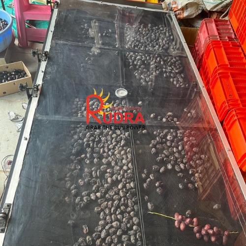 Solar Cereal Dryer for Rice, Wheat & Maize Processing Facility - Cereal Processing & Grain Handling Industry