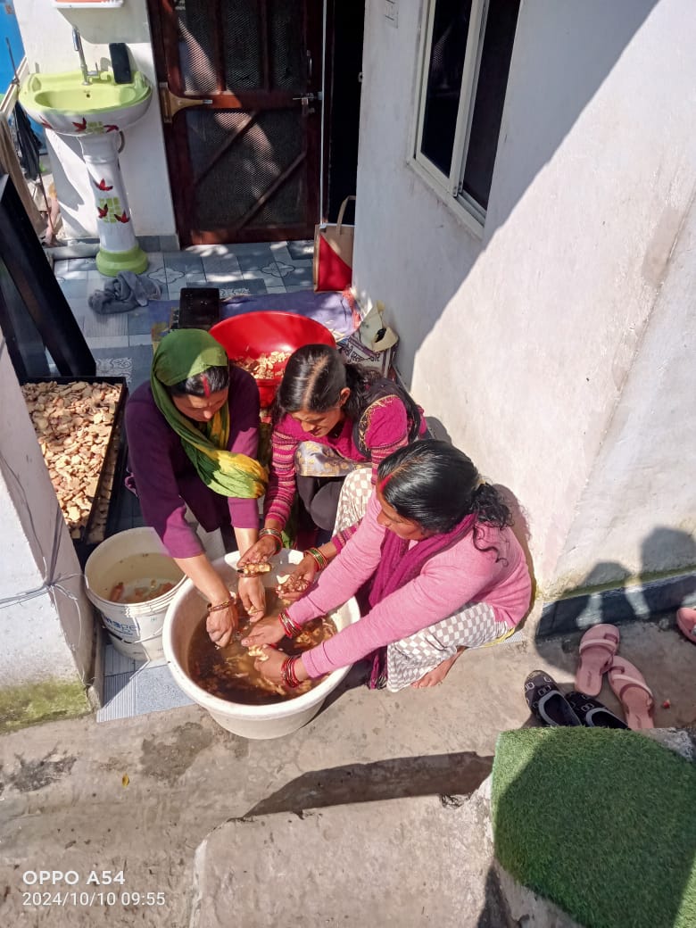 Solar Drying Of Vegetables — image 3