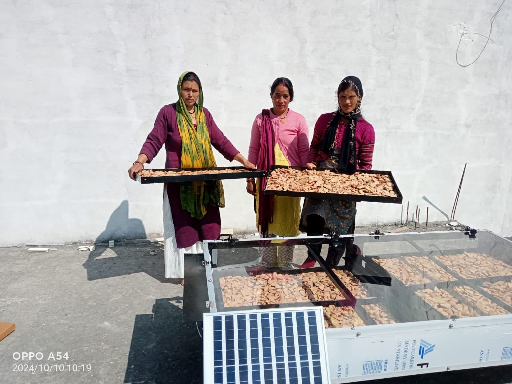 Solar Drying Project for Herbal Processing Unit in West Bengal — main image