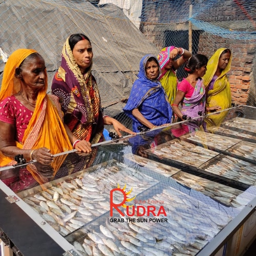 Solar Fish Dryer for Seafood Processing | Rudra Solar Energy Project - Seafood & Fish Processing Industry