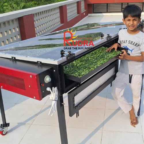 Tea Leaf Solar Dryer for Commercial Tea Processing | Project — image 2