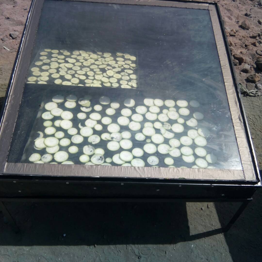 Solar Drying Solutions for Fish & Copra Processing in Lakshadweep — image 3