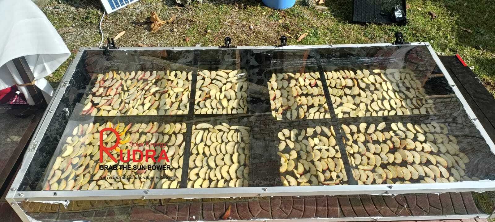 Solar Drying Of Vegetables — image 3
