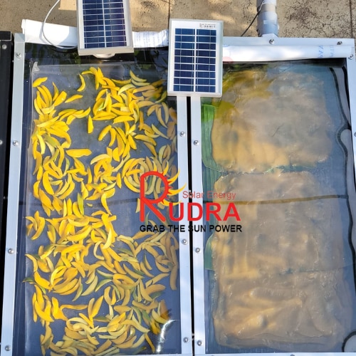Solar Fruit Dehydrator for Fruit Processing | Rudra Solar Energy Project - Fruit Processing Industry