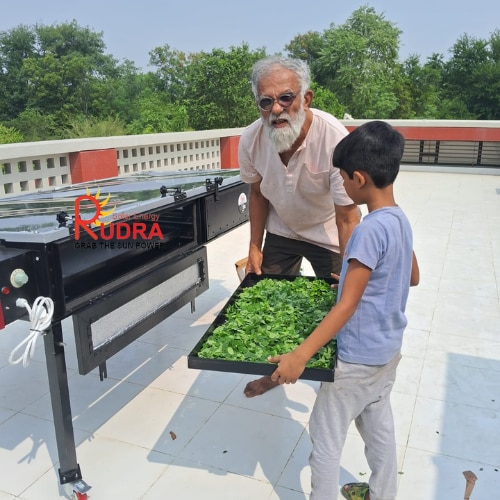 Solar Dryer for Spices | Controlled Spice Dehydration Project - Spice Processing Industry