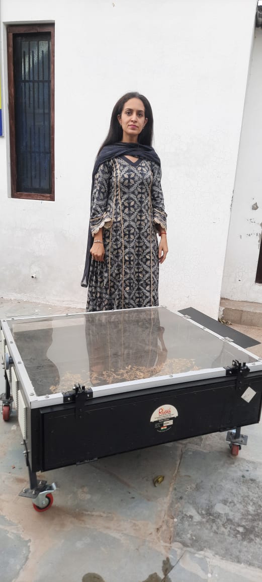 Solar Drying Solutions for Agricultural Processing in Punjab — main image