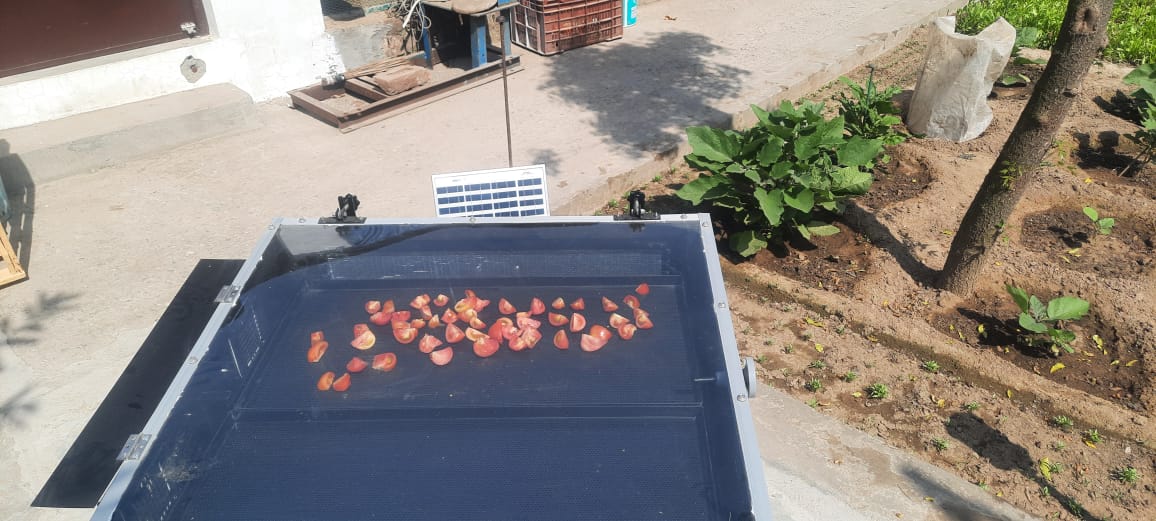 Solar Dryer in Delhi