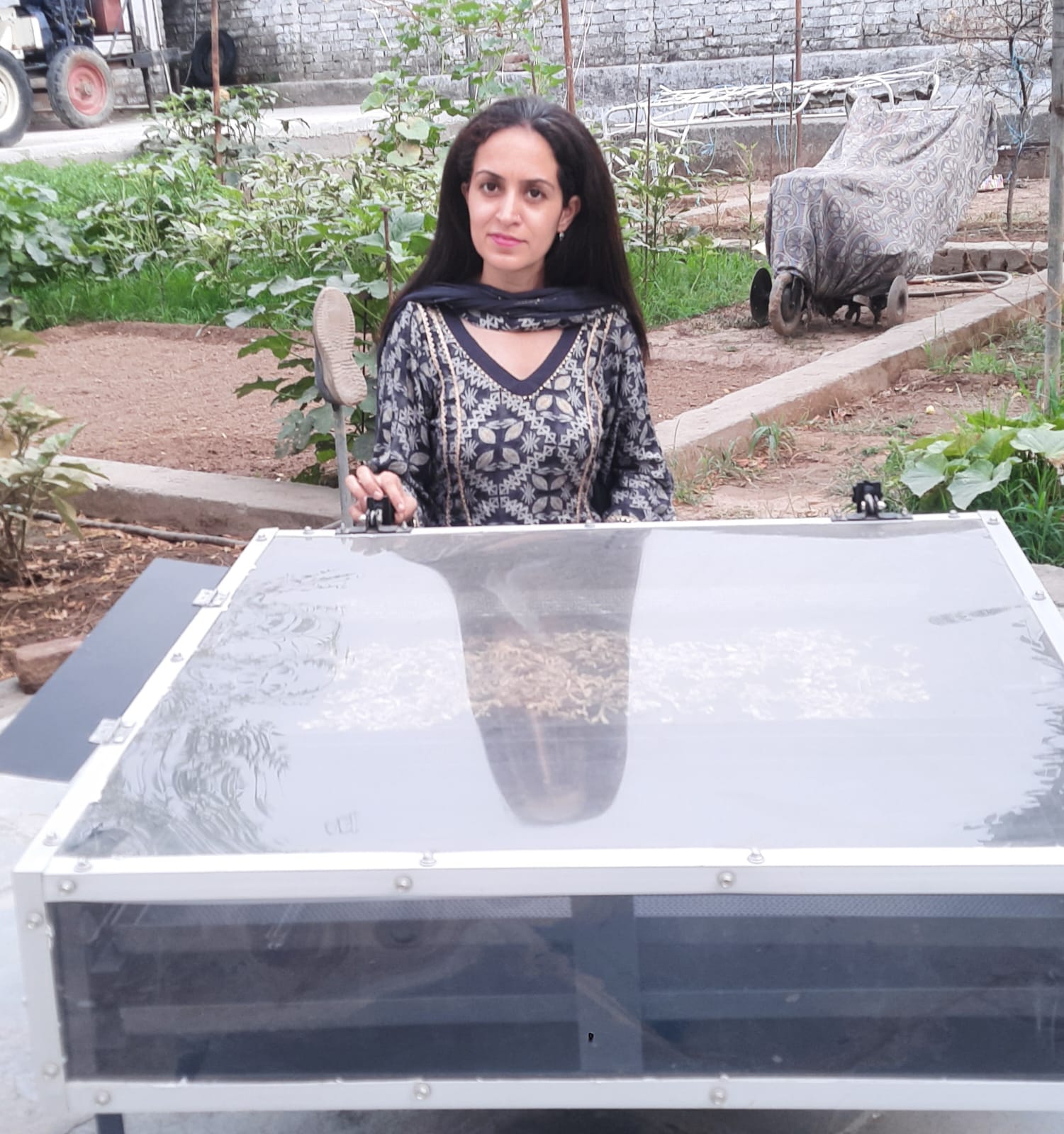 Solar Drying Solutions for Agricultural Processing in Punjab — image 3
