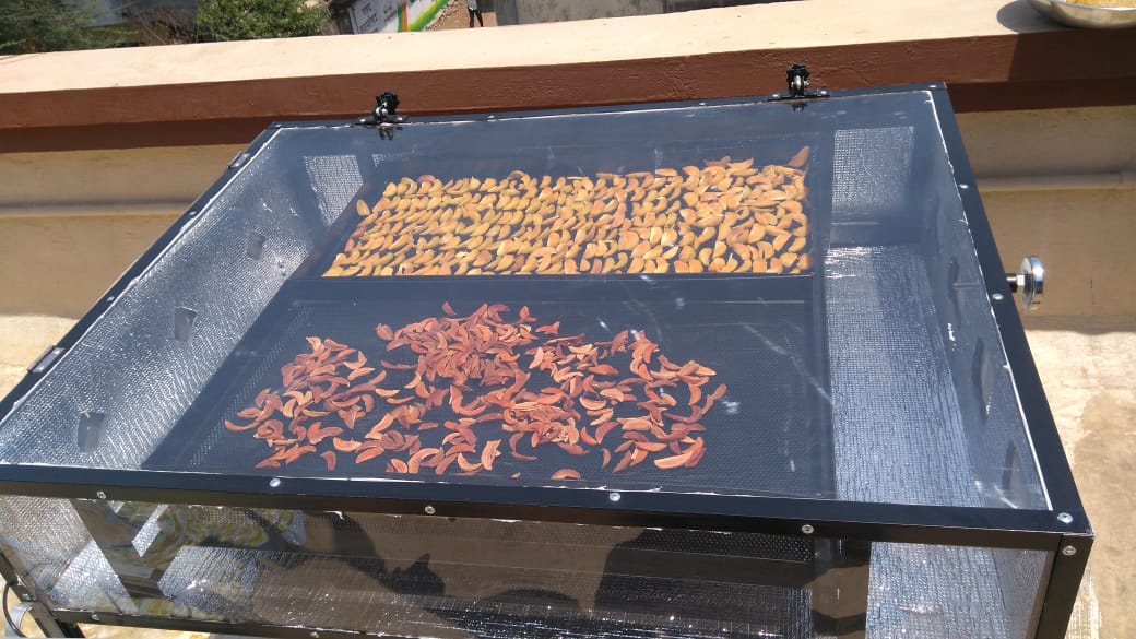 Solar Drying of Dry Fruits & Nuts — main image