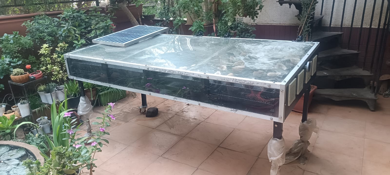 Solar Drying of Millets & Grains — main image
