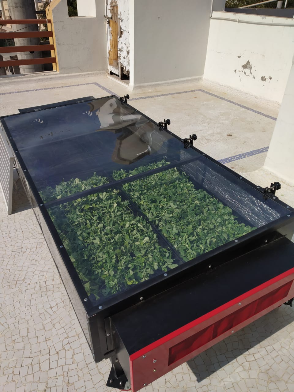 Solar Drying for Food Processing Industries in Maharashtra | Solar Dryer Project by Rudra Solar Energy — image 2