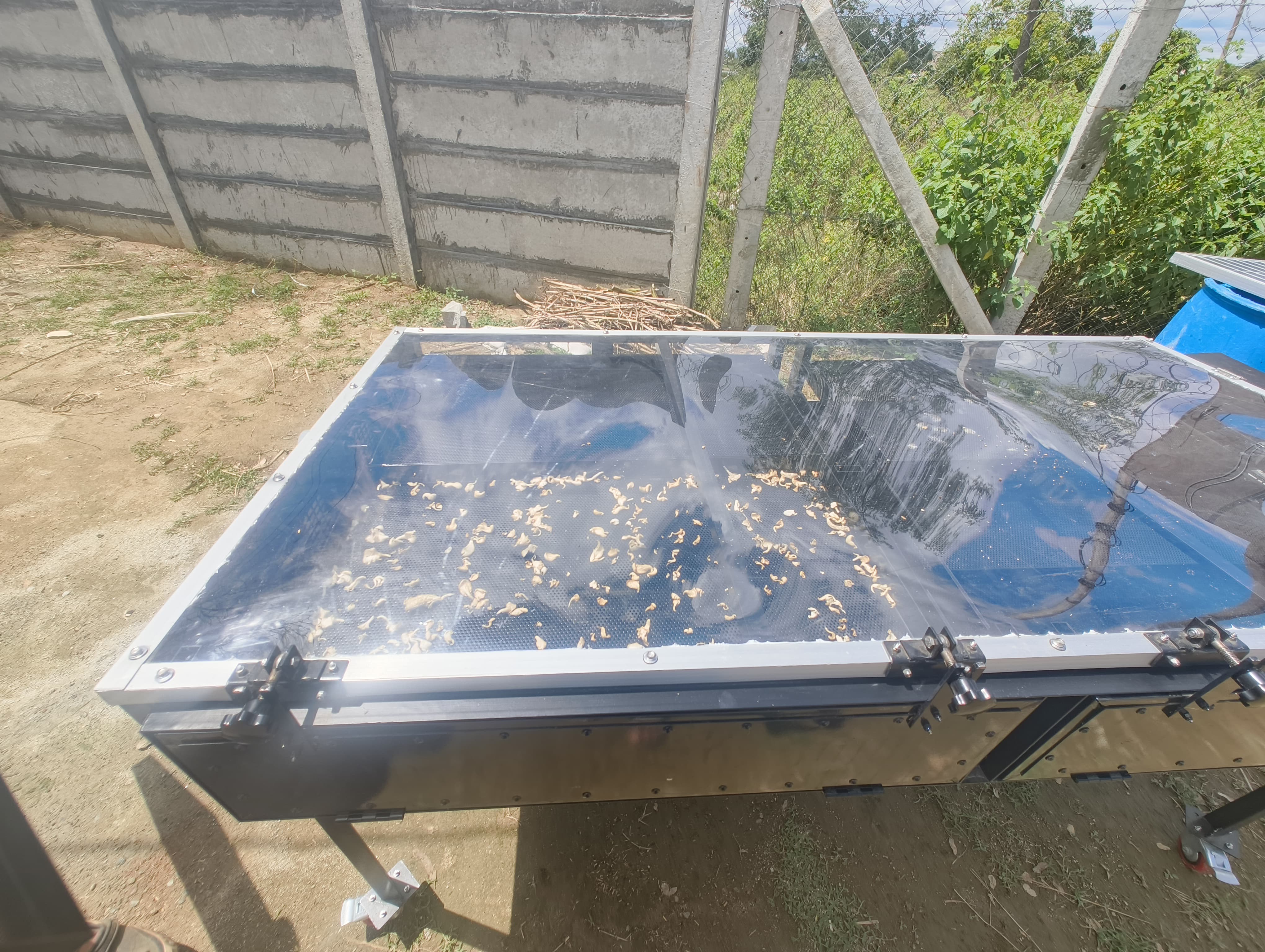 Solar Drying of Animal Feed — image 2