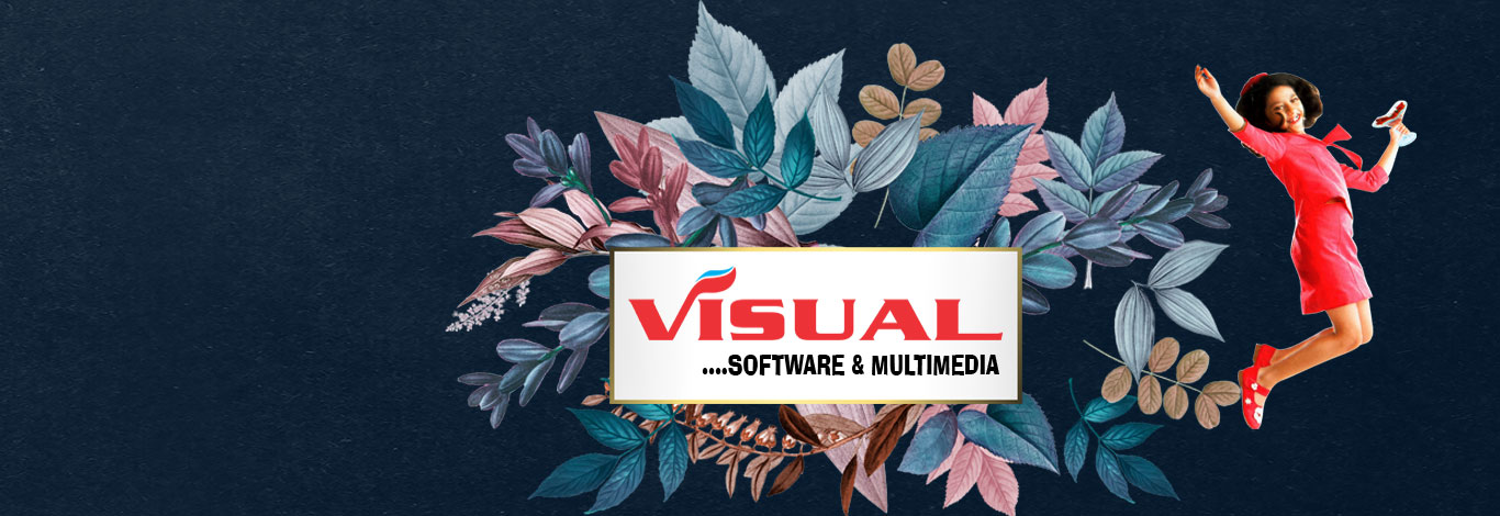 Visual Software & Multime