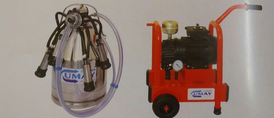 Buffalo Milking Machine image 2