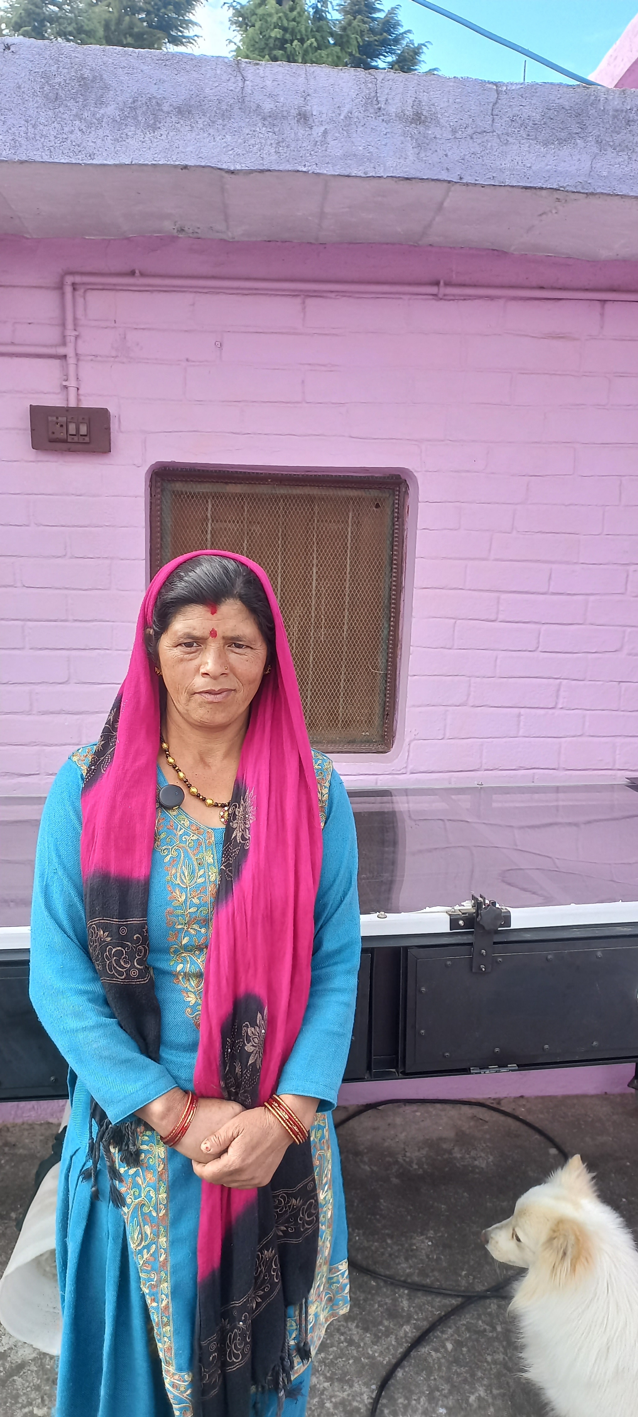 Bhaga Devi image