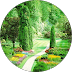 testimonial image