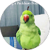 testimonial image