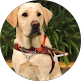 testimonial image