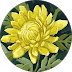 testimonial image